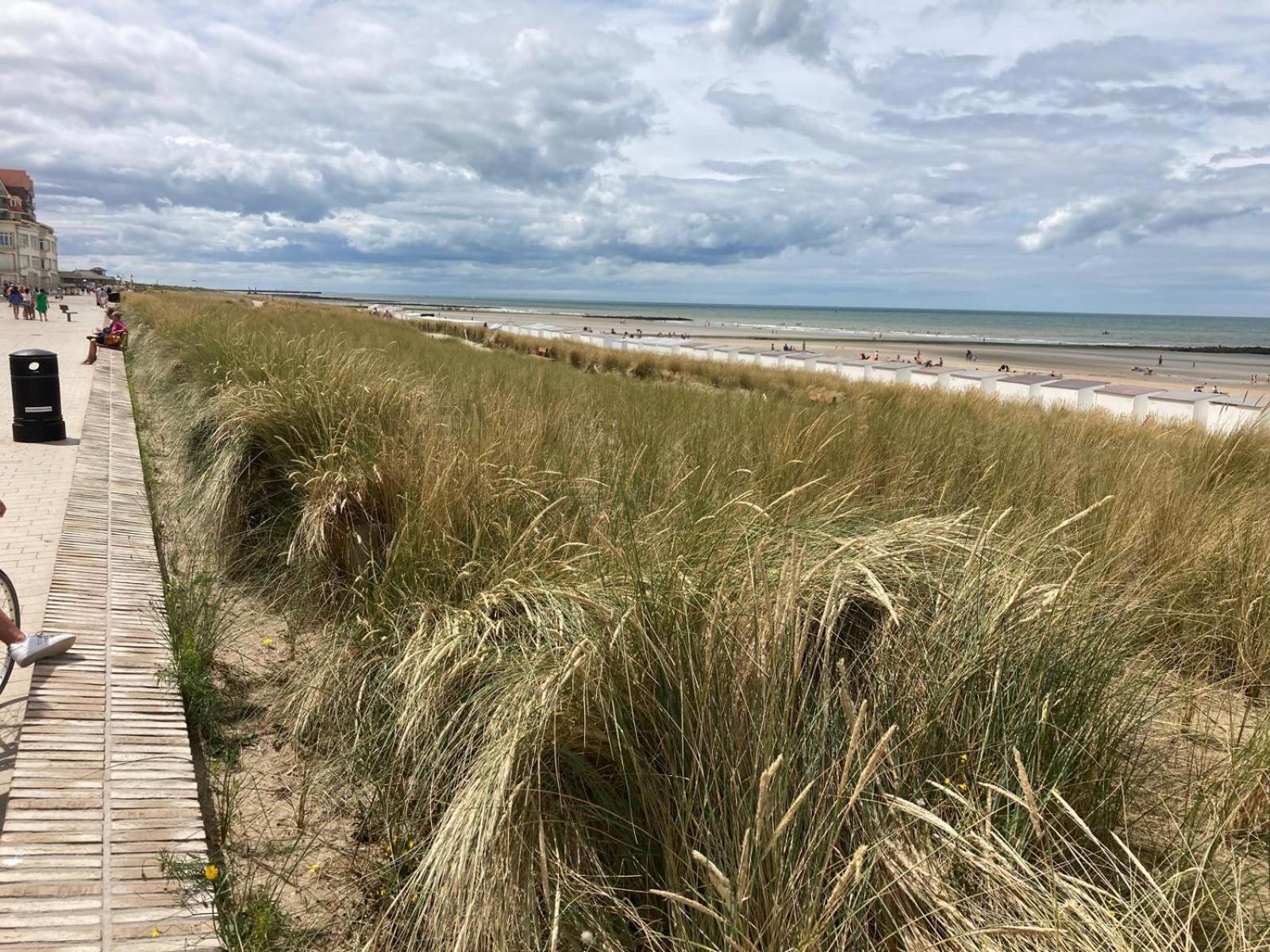 Middelbeach Миделкерке Екстериор снимка